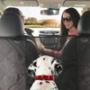 Car Back Seat Pet & People Mat - Stain-Proof, Waterproof Dog Seat Cover