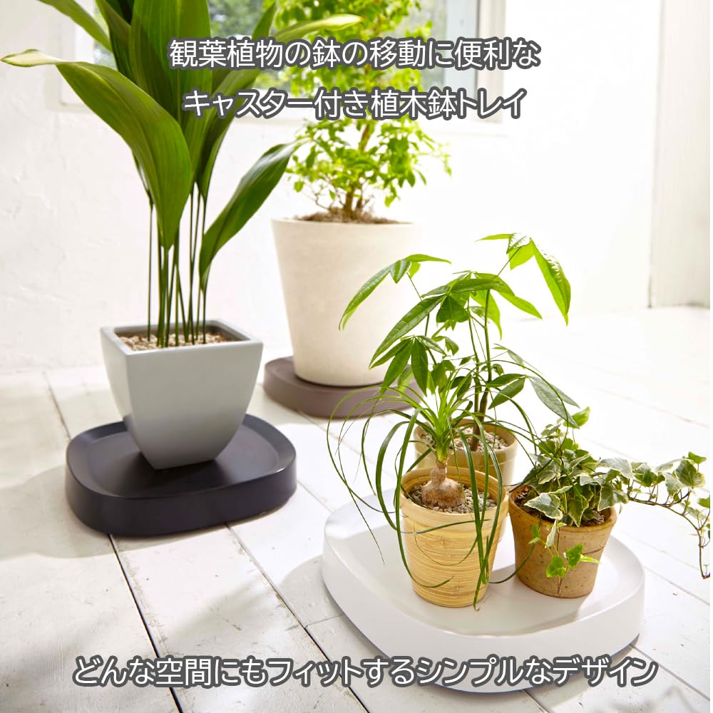 Ordentlich Praktisch weiß (Ordentlich) Rollwagen mit Tablett, bepflanzbar,