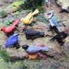 Miniature Bird Models: Parrot, Hummingbird, Woodpecker Desktop Ornaments Set