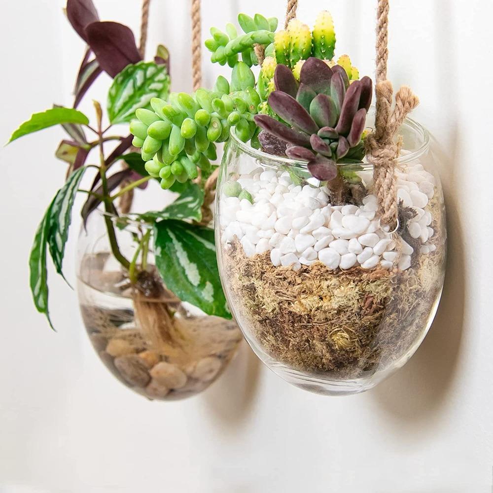 Glas Wandmontierte Vase Transparenter Blumentopf Langlebige Blumenarrangement Flasche Wohnzimmer