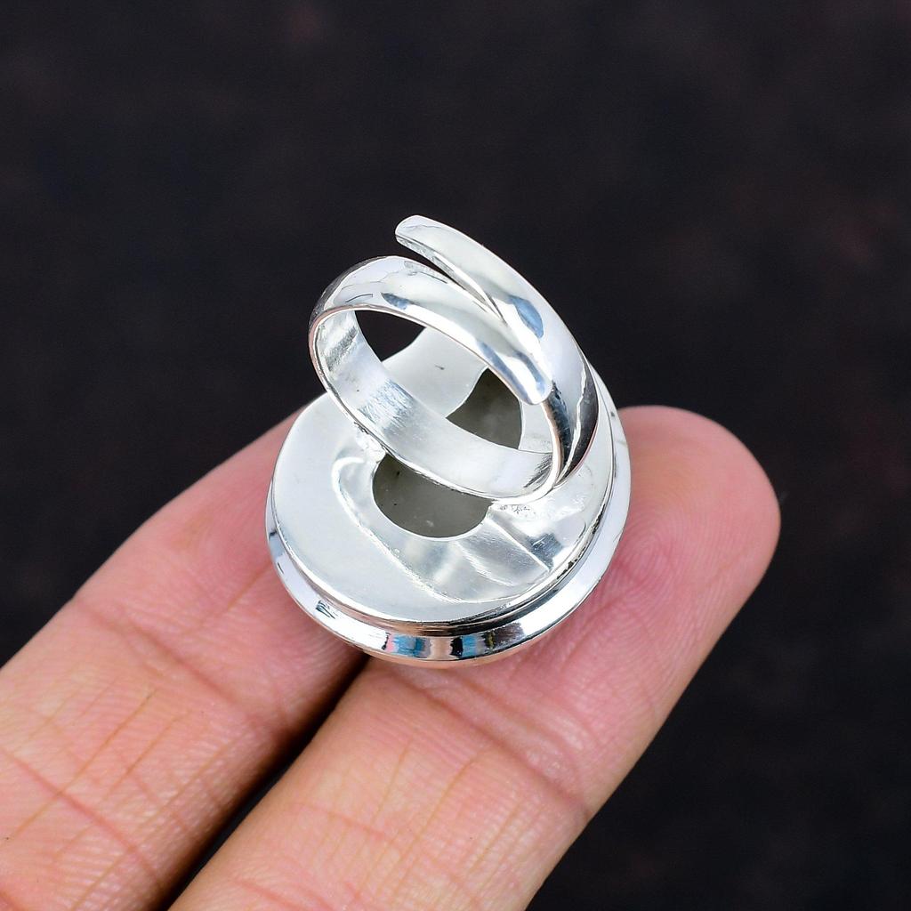 Ammolite In Ammonite Fossil Ring 925 Sterling Silver Ring Adjustable Ring Handmade Jewelry Beautiful Gemstone Ring Engagement Gifts for Wife