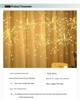 LED Solar Dandelion Firework String Lights - Indoor Outdoor Decorative Explosion Copper Wire Lights