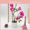 Magnolia Faux Plant With Silk Fabric And Plastic For Event Decoration And Photoshoots