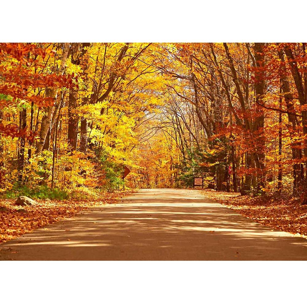 Autumn Forest Tree Yellow Leaves Vinyl Photo Background Scenic Computer Printed Photography Backdrops Photocall for Photo Studio