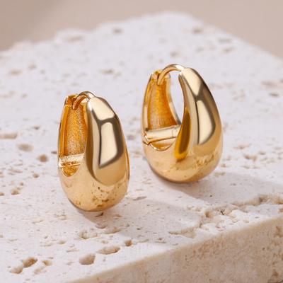 316L Stainless Steel Gold Color Hoop Earrings for Women Oval Circle Earrings Elegant Ear Christmas Jewelry Gift Dropshipping