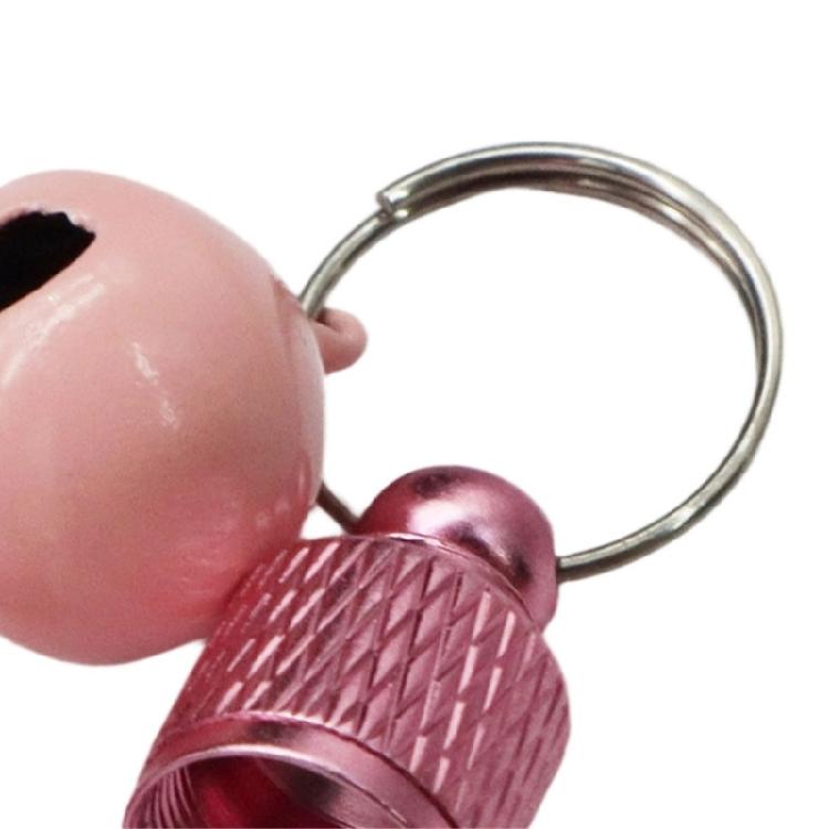 10pcs Plated Dog Label Holder Pet Safety Label Storage Box For Personalizable Contact Info Address Collar Pendant