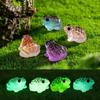 5pcs/10pcs Mini Frogs Glow At Dark Fairy Garden Pots Miniatures Decoration Luminous Frog Vivarium DIY Accessories