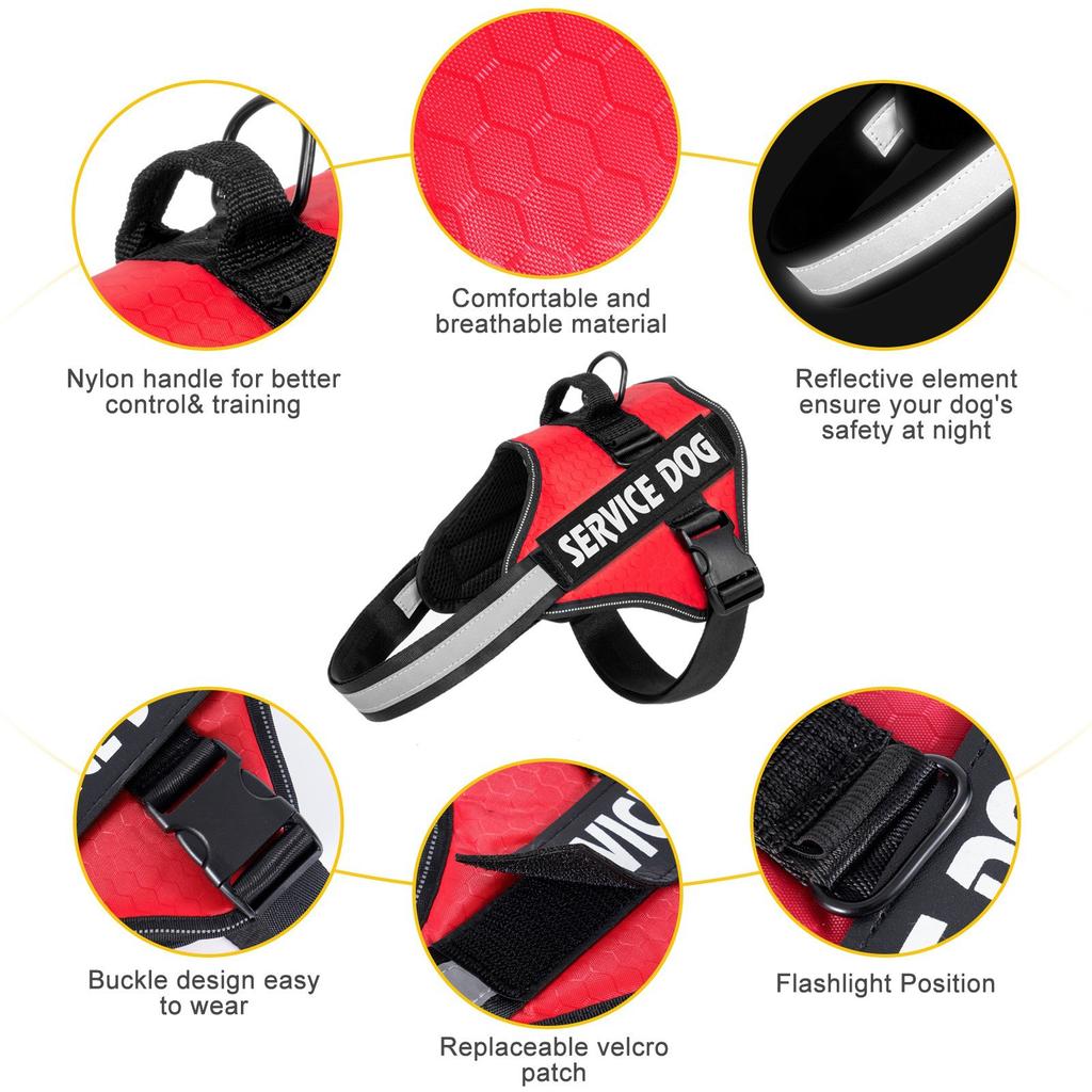 Colete com Corda de Reboque para Cães com Tira Peitoral Cão Médio e Grande Border Collie Pelo Dourado Balde À Prova de Explosão Lavável Arnês para Cães