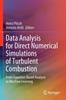Kniha Data Analysis for Direct Numerical Simulations of Turbulent Combustion : From Equation-Based Analysis To Machine Learning