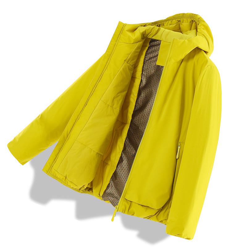 Men's Winter Solid Color Hooded Puffer Jacket - American Trendy Brand: New Arrival, Warm, Thick, Loose Fit