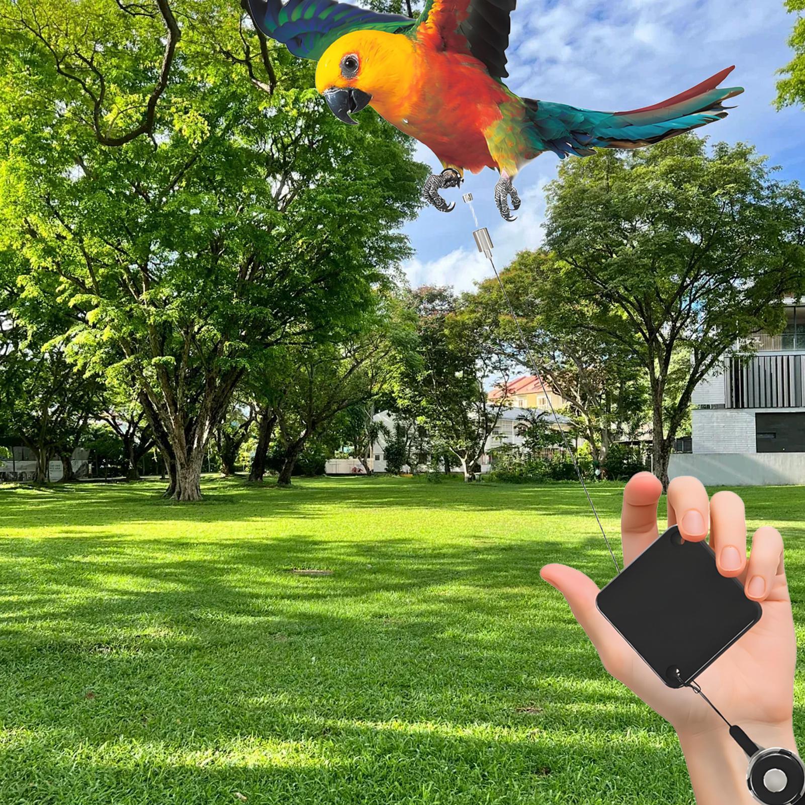 Bird Leg Rope Stainless Steel Auto-Retractable Parrot Flying Rope Chewable Bird Ankle Accessories Adjustable Bird Ankle Supplies China Mainland