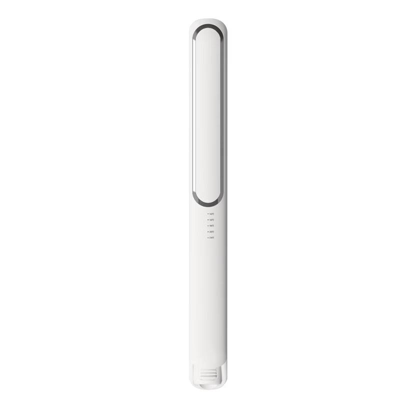 LISM Hair Straightener and Curler