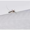 White-edged black-net self-adhesive mosquito repellent net, reusable, invisible installation, insect-proof window screen