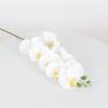 3D Printing Simulation Butterfly Orchid Flower 9 Heads Fake Moth Orchids  Hotel Restaurant