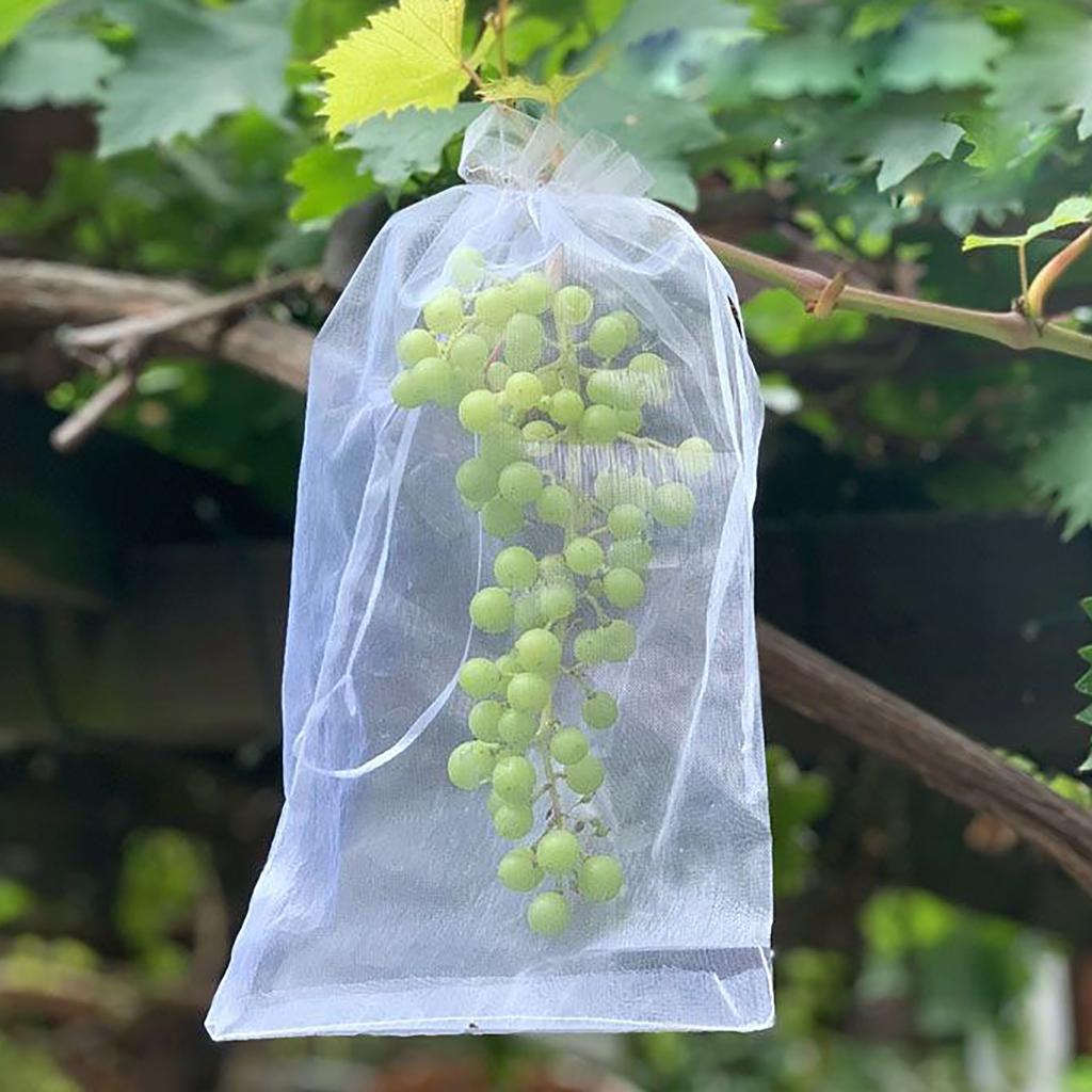 40Pcs 5 Sizes Fruit Grape Protection Bags Garden Drawstring Netting Mesh Bags Anti-Bird For Plant Strawberry Fruit Grow Bags