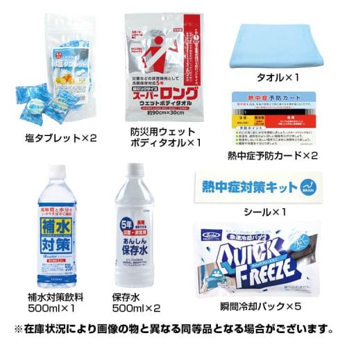 Brain BR-610 Heatstroke Prevention Kit DX