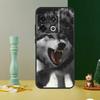 The Wolf Fierce Phone Case For OnePlus 13 13R 12 12R 11 9 10 Pro 8T 9RT 10T 10R Nord 4 CE 2 3 Lite N20 N30
