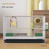 Large Metal Cage for Cockatiels, Myna, Finches, and Tiger Skin Birds