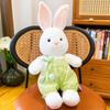 Cute Pacha Rabbit Doll Plush Toy Panda Dog Accompanying Soothing Children Doll Ragdoll Throwing Gifts