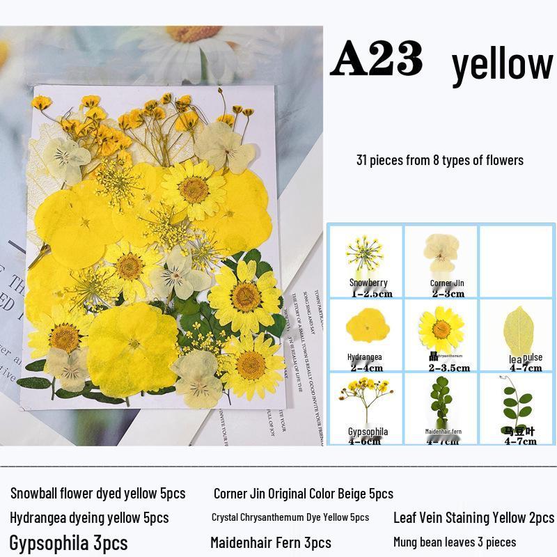 Handmade Resin Pressed Flower Bookmark DIY Kit: Transparent Specimen Stickers & Dried Flowers for Students