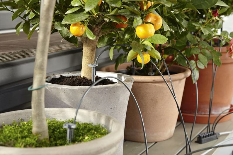 AUTOMATIC WATERING CAN - HG-01265-20