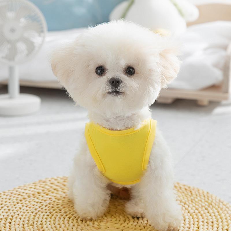 

Snot Pig Traction Vest Cute Small Dog Teddy Bigbear Bipod Dog Clothing Pet Clothing Japan and Korea XS (recommended weight 1-1.5kg)