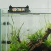 Multi-function External Filter Box Top-mounted Filter Filter Irrigation System  Aquarium Use