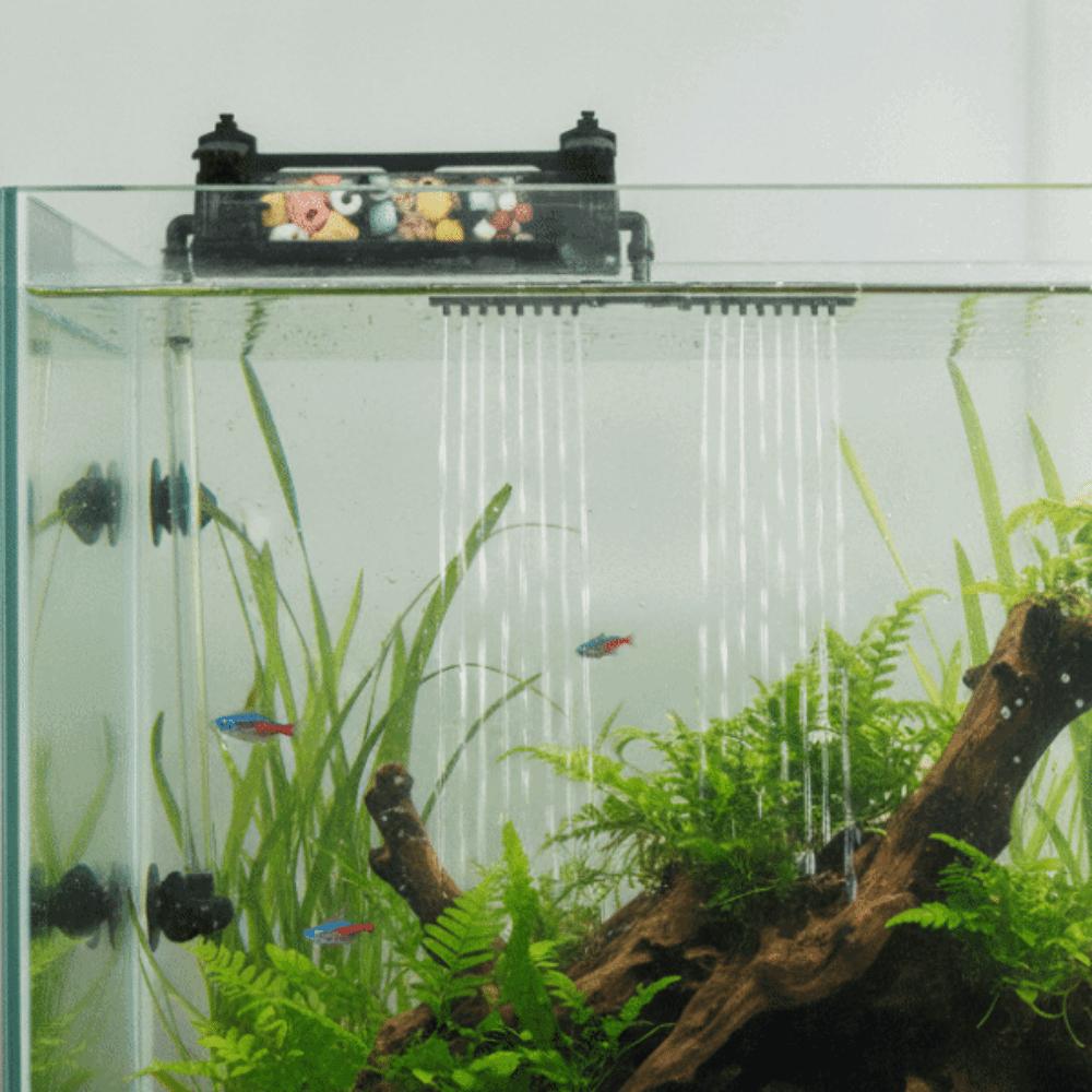 Multi-function External Filter Box Top-mounted Filter Filter Irrigation System  Aquarium Use