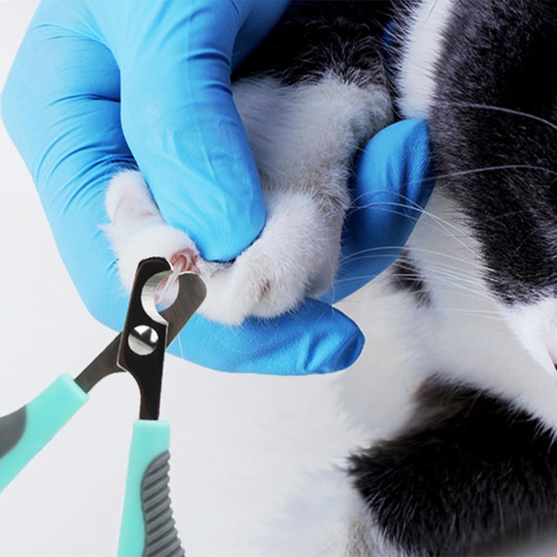 Professional Pet Nail Clipper Sharp Safety and Cleaning Tool With File 2PCS Pet Care Supplies Pet Toe Nail Clipper Nail File Set