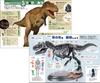 Gakken Tyrannosaurus Scale Skeleton Model Kit Poster 6 and Q750763 1/35 & Life-Size (Ages Up)