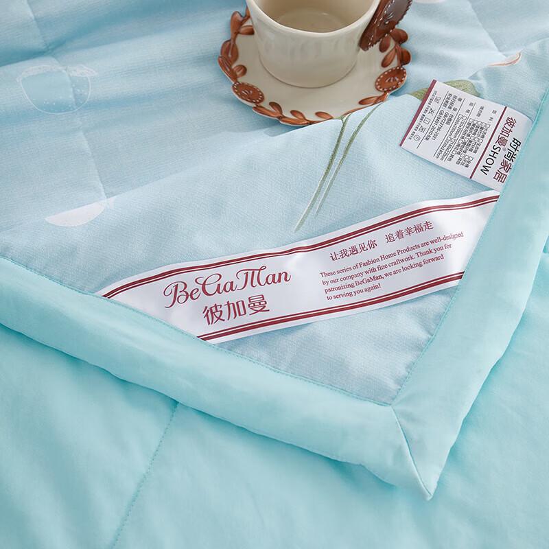 BGM Cloud Soft Floral Soybean Fiber Quilt