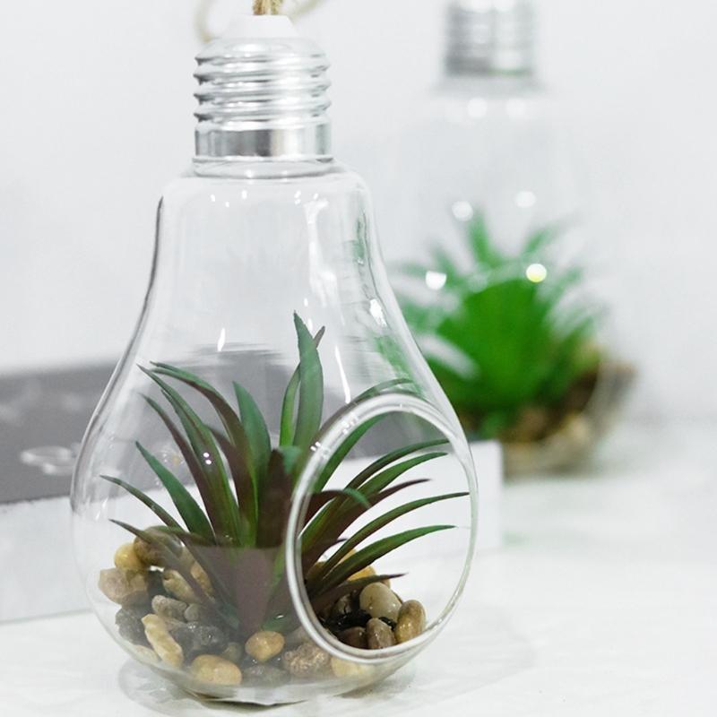 Light Bulb Shaped Outdoor Glass Hanging Planters Plant Pots for Succulent Tillandsia Holder Gift for Home Durable