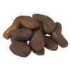 Nihon Sample Food Sample Cocoa Beans, 13mm W x 23mm H, Set of 15, 3103