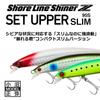Daiwa Shoreline Shiner Z Set Upper Slim 95S Adel Gold Rainbow