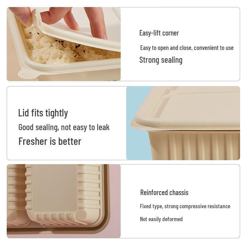 Four-Compartment Eco-Friendly Lunch Box