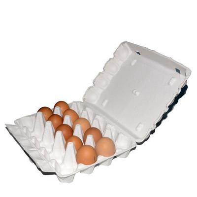 Paquete de 20 Cartones de Huevos de Pulpa Transpirables para Regalo y Transporte