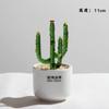 Handmade Glass Blown Cactus Cute Crystal Art Cactus Figurines Collectibles Desk Simulation Plants Decorations Mother's Day Gift