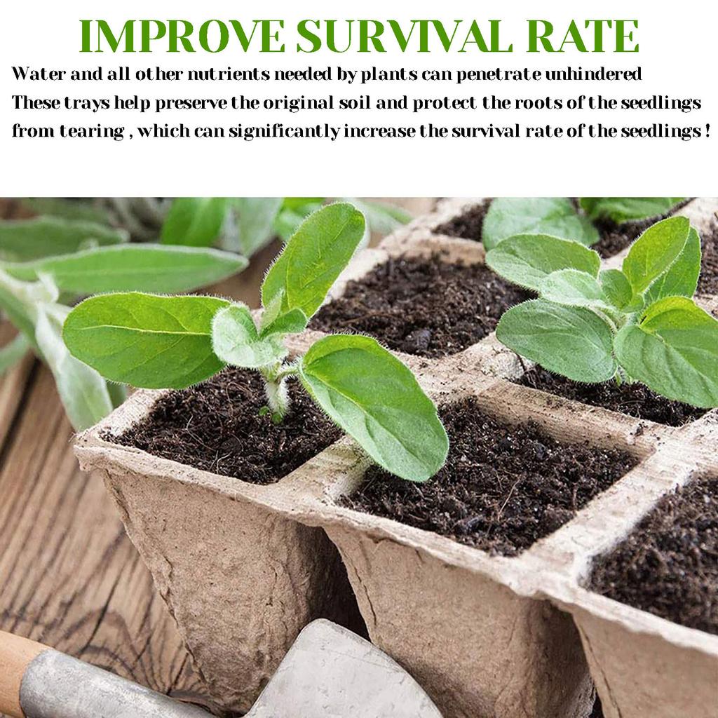 Peat Pots Seed Trays Seedling Pots Germination Trays 10 Cells