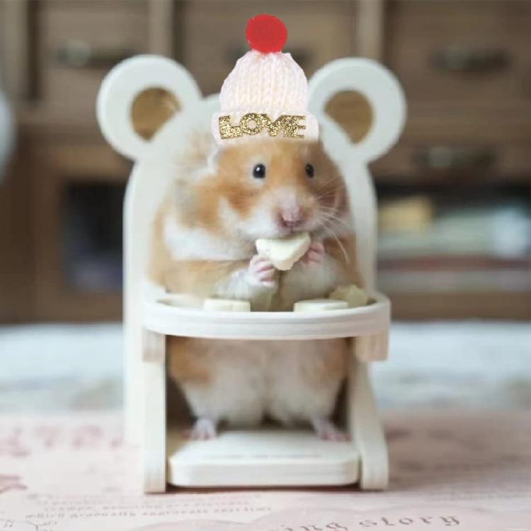 Guinea Pigs Hat Christmas HeadWear Costume Christmas Theme Gift Handwoven