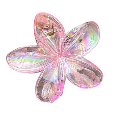 Haar-Accessoires – Haarklammern