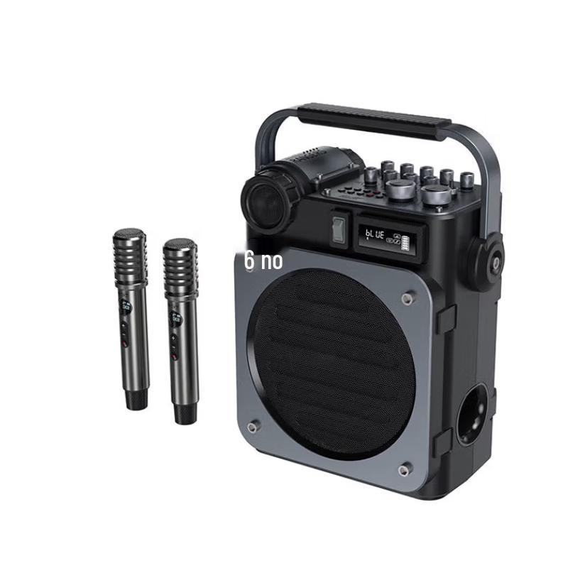 Shidu D6 High-Power Portable Speaker CN Plug (adapter Included)