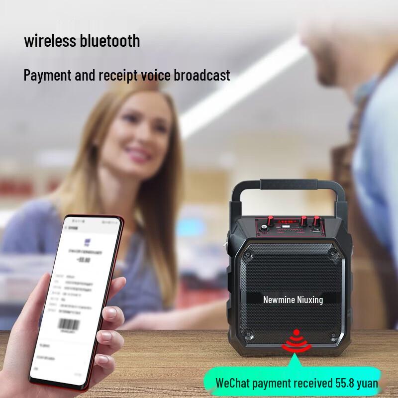 Newmine K97 Outdoor Bluetooth Speaker CN Plug (adapter Included)