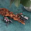Wind Up Beetle Bionic Toys Creative Prankster Animated Insect Toy Model Beetle Children'S Battle Plastic Animals Wind Up Toy