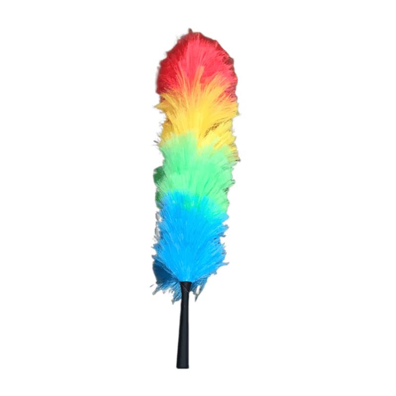 DLGYP Plastic Feather Duster