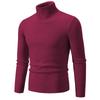 Herren Pullover Herbst/Winter 2024 Hoher Kragen Unifarben Lässig Gestrickt