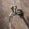 Garden Antique Bronze Dragon Bibcock, Wall Mounted Outdoor Water Tap with Zinc Alloy Decorative Design