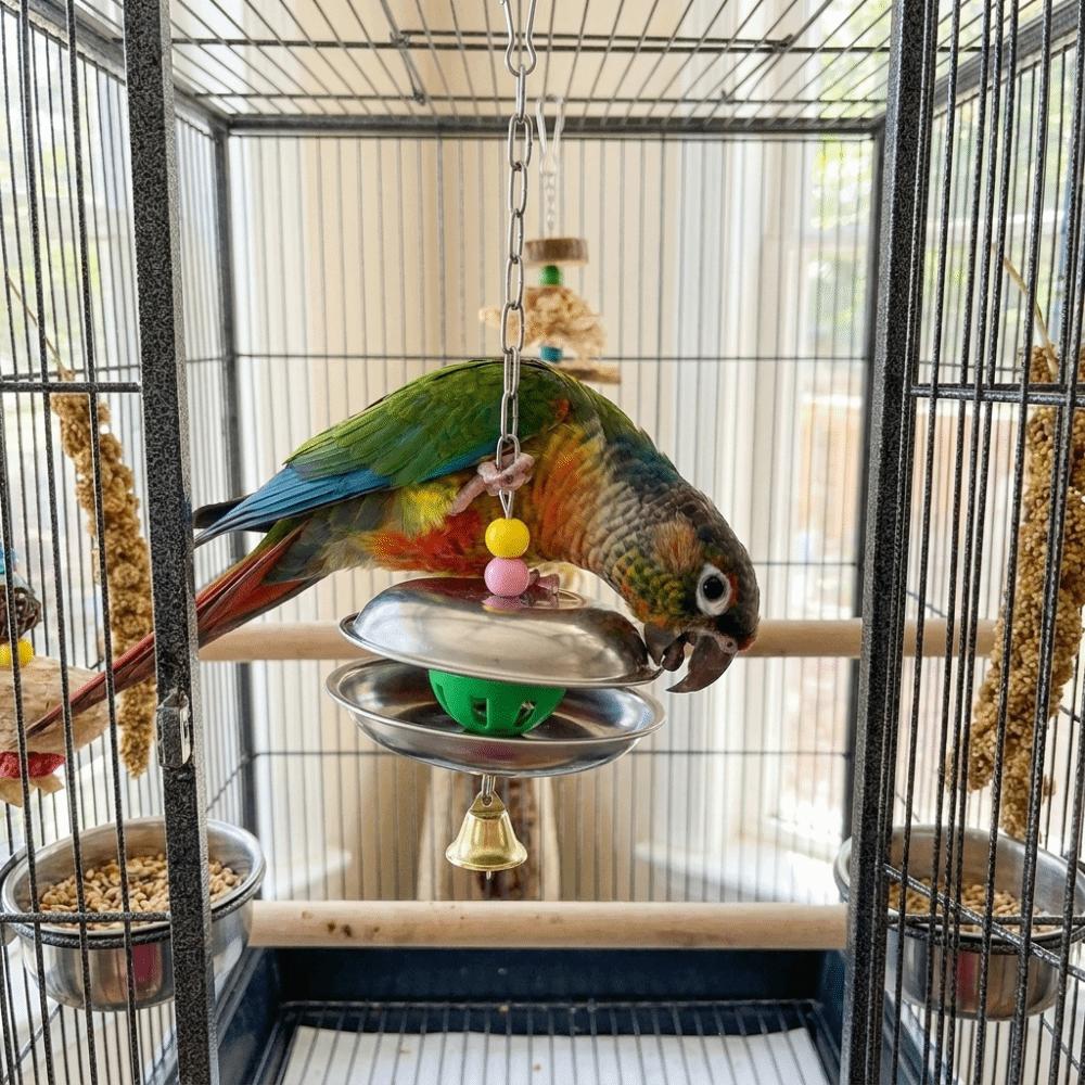 Bite Resistant Parrot Bell Pendant Colored Beads Bird Cage Toys Parrots Chew Swing Cage Enrichment