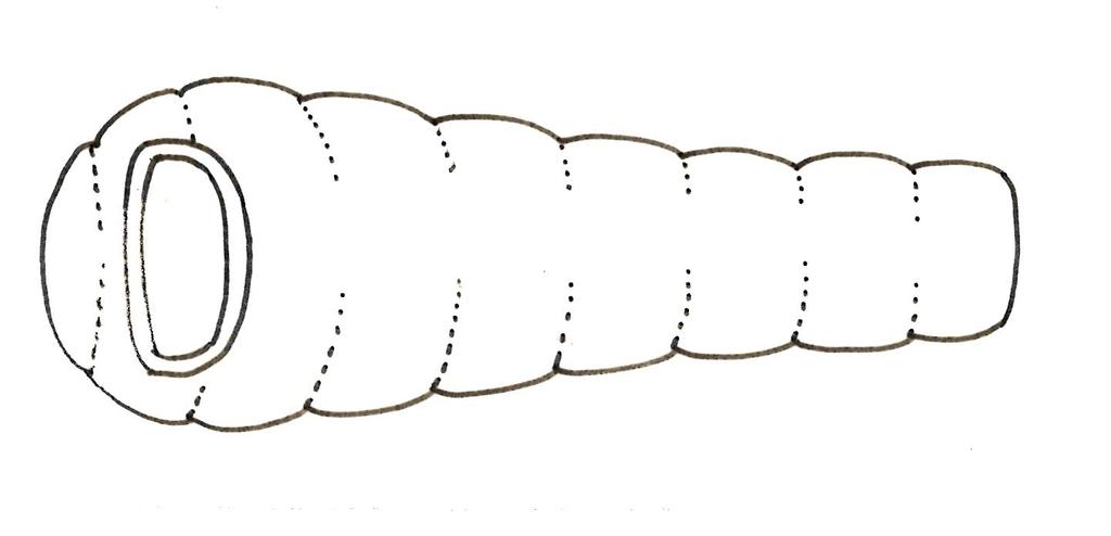 NORDISK L Sleeping Bag L Sleeping Gormsson+10° (Gormsson+10° Bag) [110407] []