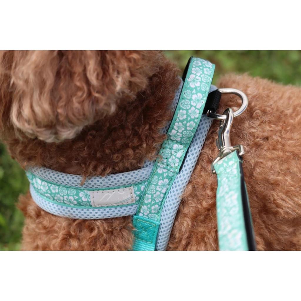 Hakusan Mesh Handle Aloha Lead (Pine Aloha)