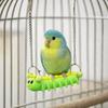 Bite Resistant Parrot Perch Stand Durable Parrot Swing Toy Fun Birds Climbing Ladders  Training Toy